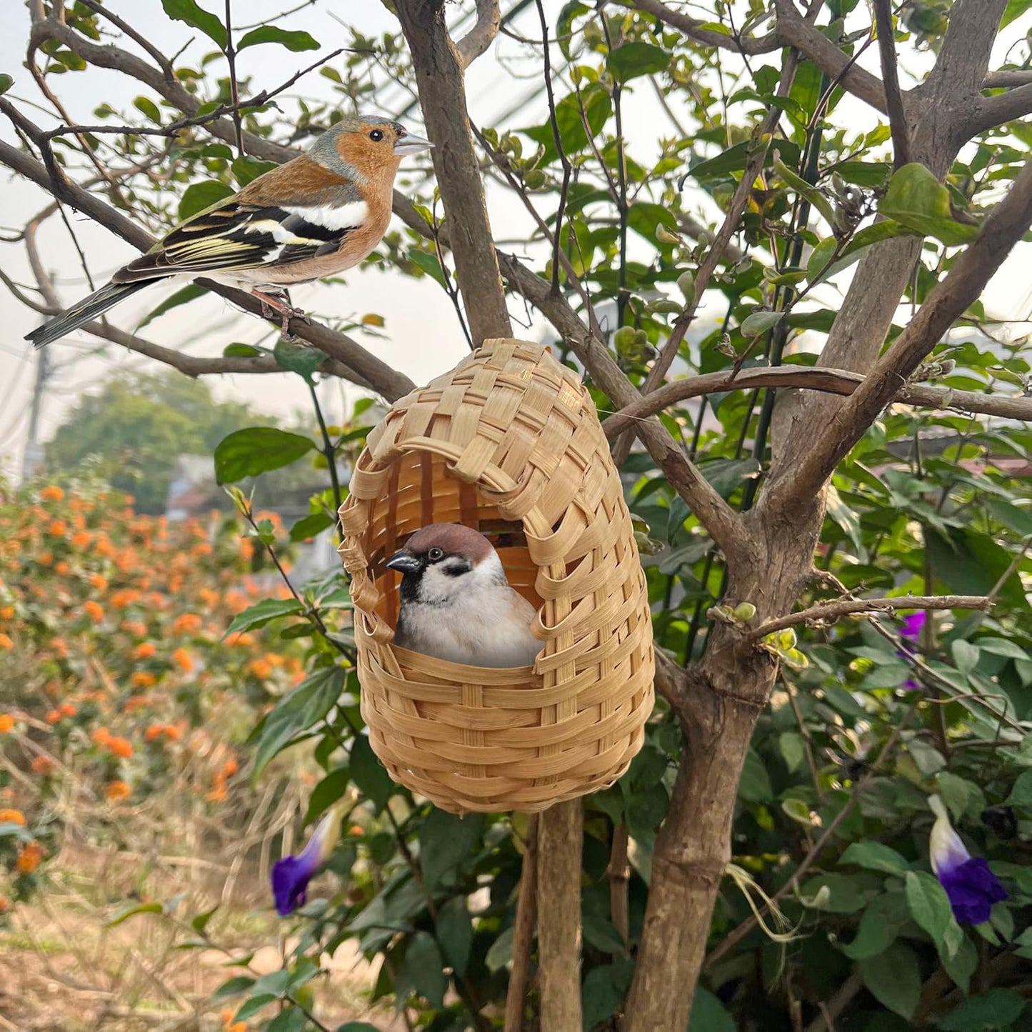 Hand-Woven Bird Nest ā Natural Eco-Friendly Straw House for Small Birds