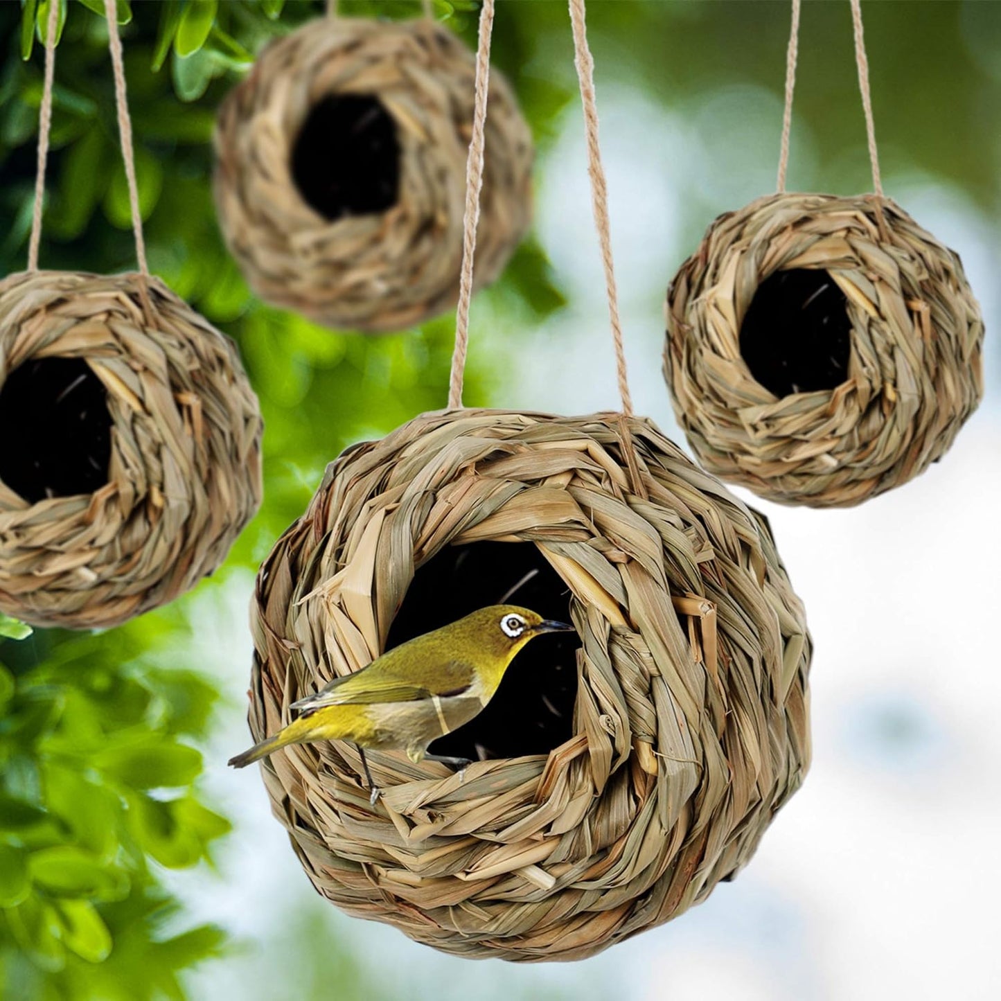 4 Pack Natural Grass Bird Nest – Handwoven Hanging Birdhouse for Small Birds, Breathable & Eco-Friendly Hut for Balcony, Garden, or Cage