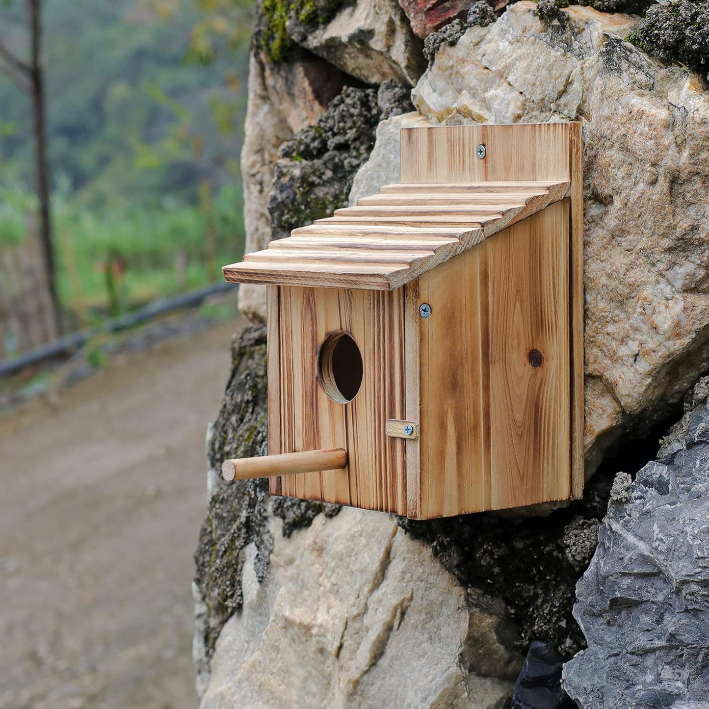 Natural Wooden Bird House – Outdoor Waterproof Nesting Box for Small Birds
