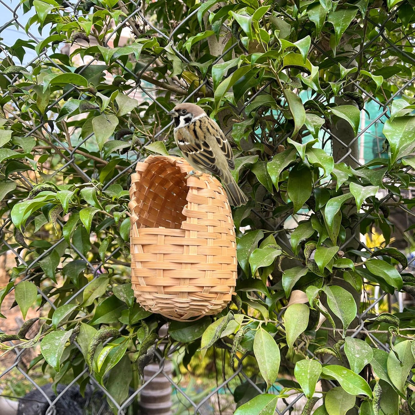 Hand-Woven Bird Nest – Natural Eco-Friendly Straw House for Small Birds