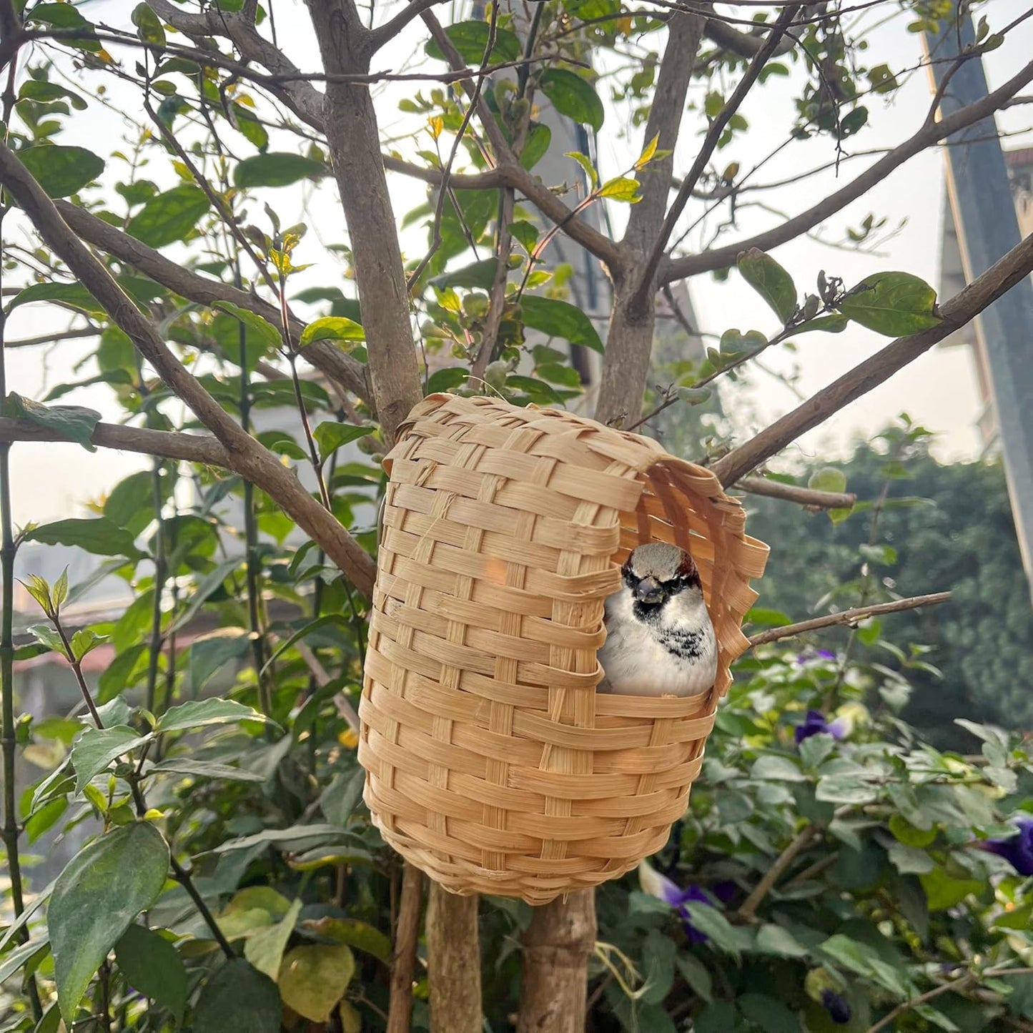 Hand-Woven Bird Nest – Natural Eco-Friendly Straw House for Small Birds